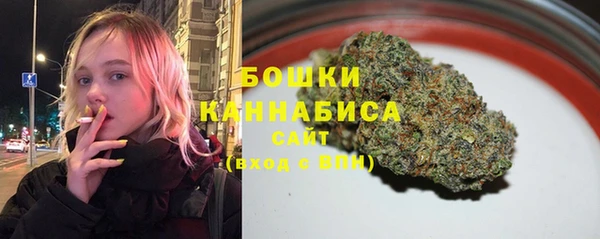 apvp Белокуриха