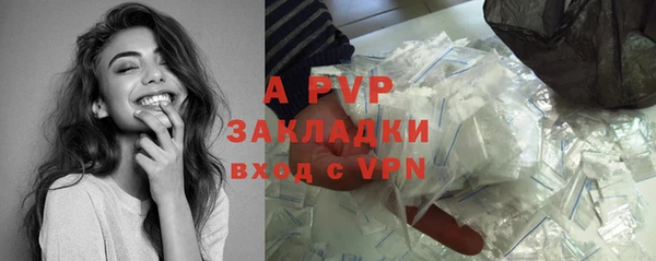 ГАЛЛЮЦИНОГЕННЫЕ ГРИБЫ Белоозёрский