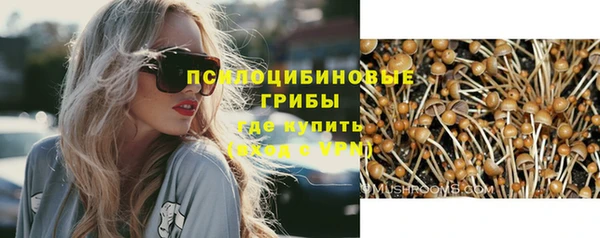 apvp Беломорск