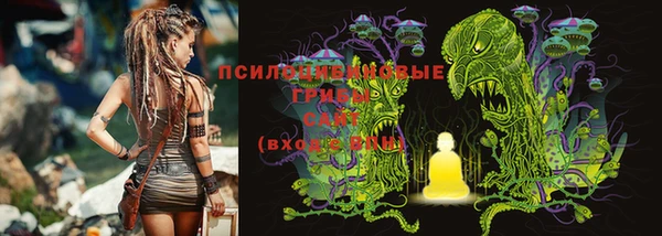 apvp Белокуриха