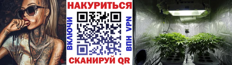 Бошки Шишки сатива mega рабочий сайт Кочубеевское
